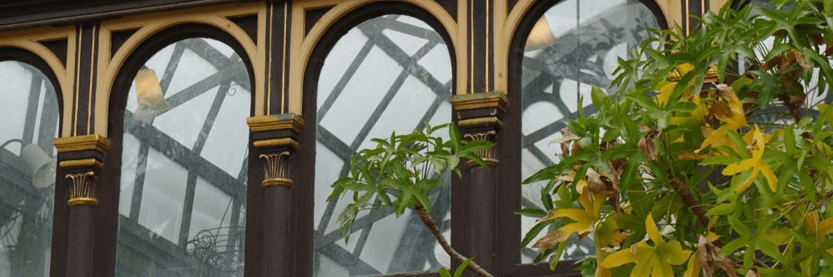 Victorian winter gardens fanlight arched window with gilt iron frame, radial glazing bars and curved glass panes in conservatory. Header