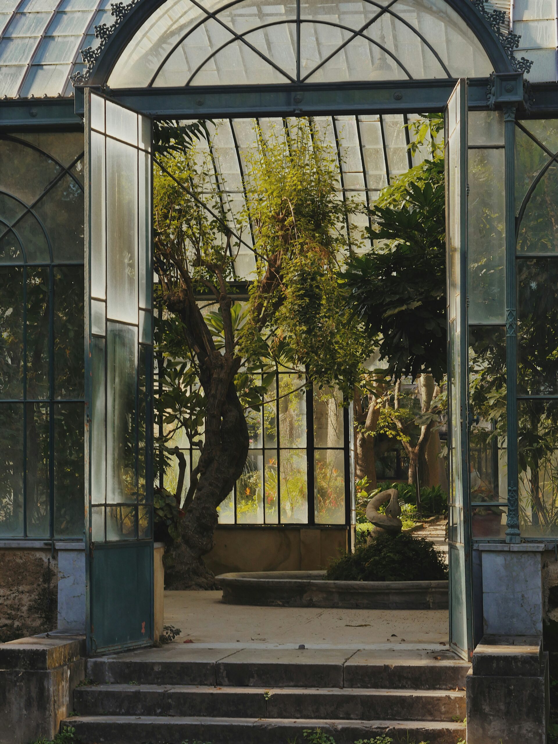 Victorian Winter Garden arched entrance with wrought iron glazing, climbing ivy and palm tree interior