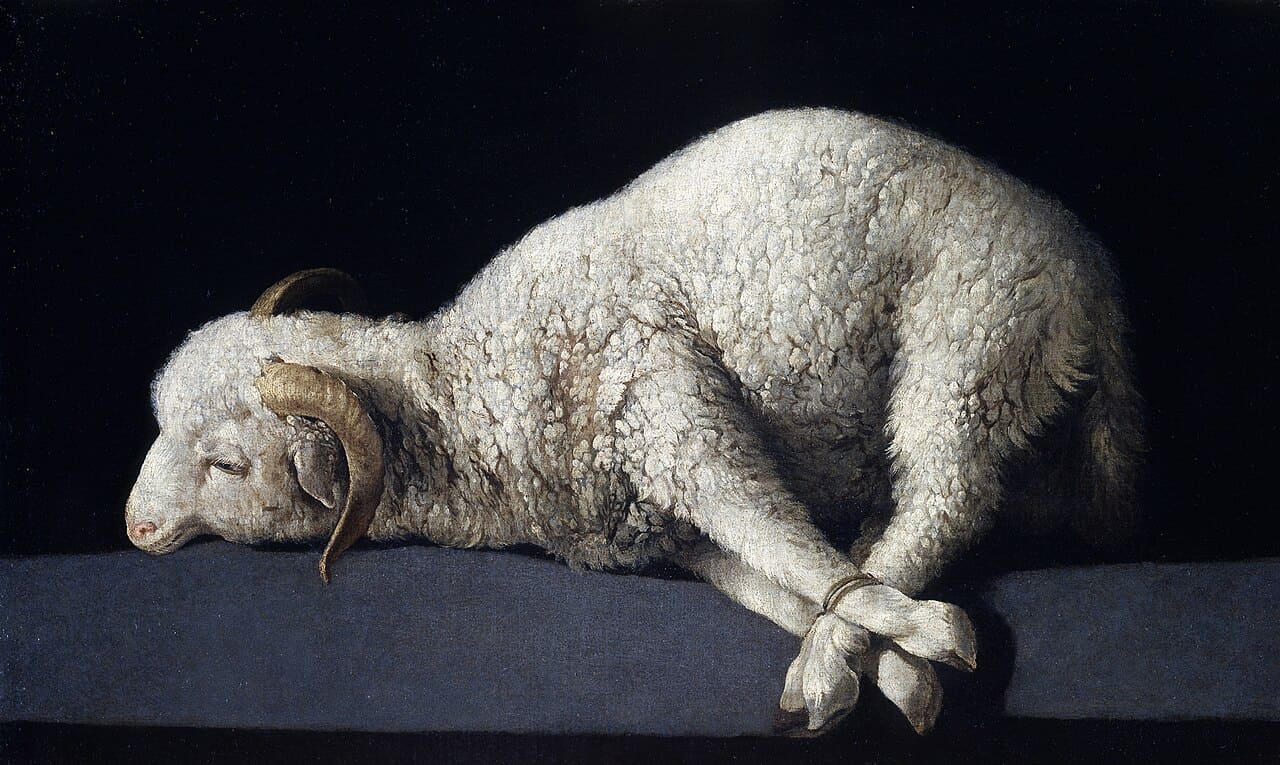 Zurbarán, Agnus Dei c. 1635–1640, Prado Madrid, bound white lamb on a stone ledge against a dark background
